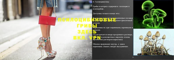 соль курить ск Богородск