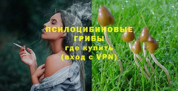 соль курить ск Богородск