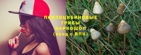 соль курить ск Богородск