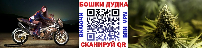 Бошки марихуана конопля  где можно купить наркотик  ссылка на мегу ТОР  Новая Усмань 